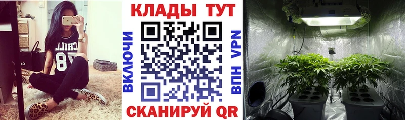 Виды наркоты Вологда Cocaine Галлюциногенные грибы MDMA ГАШИШ Амфетамин Мефедрон Канабис Alpha PVP