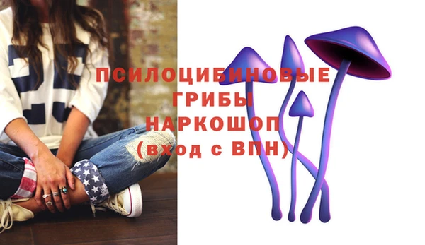 ГАЛЛЮЦИНОГЕННЫЕ ГРИБЫ Абдулино