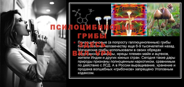ГАЛЛЮЦИНОГЕННЫЕ ГРИБЫ Абдулино