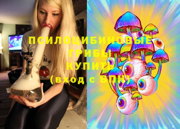 амф Абинск