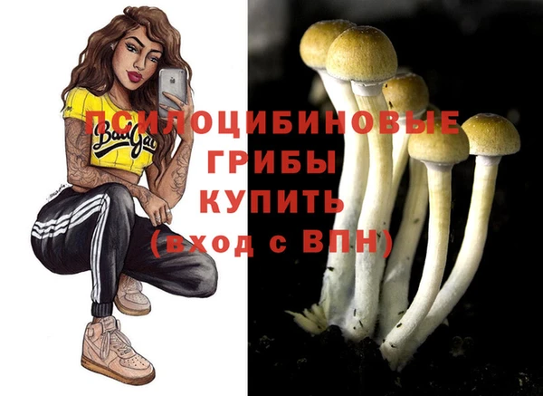 ГАЛЛЮЦИНОГЕННЫЕ ГРИБЫ Абдулино