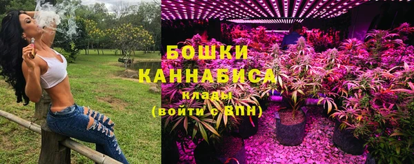 2c-b Алзамай