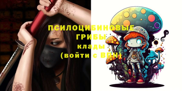 ГАЛЛЮЦИНОГЕННЫЕ ГРИБЫ Абдулино